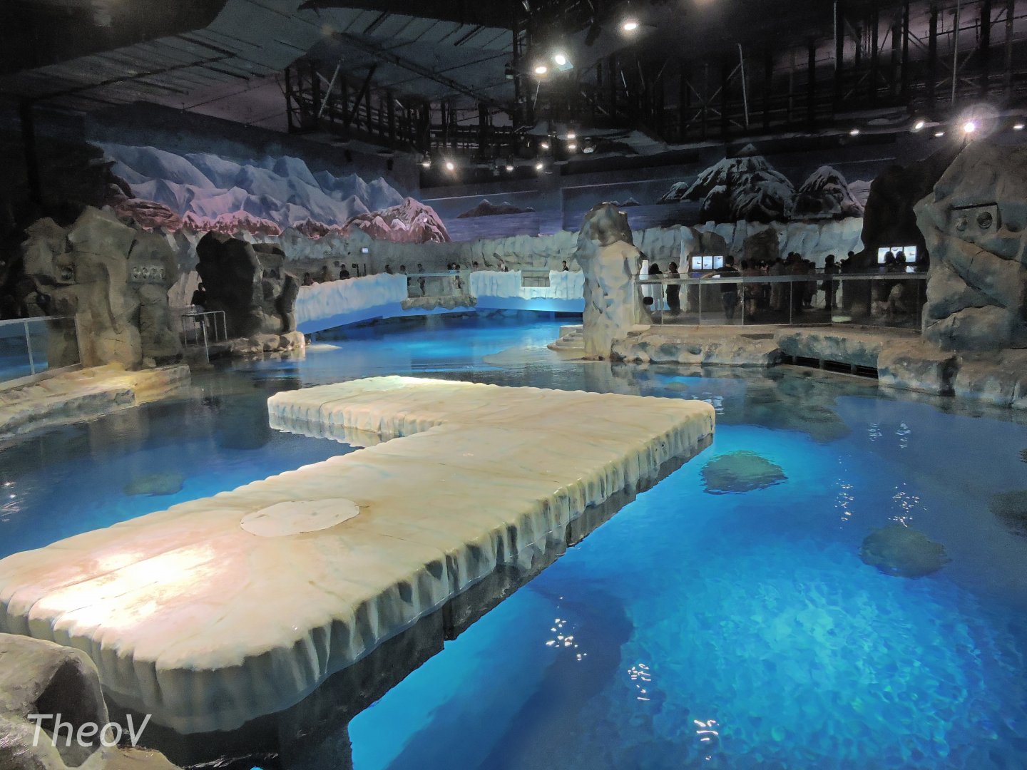 Spotted seal exhibit [2016]