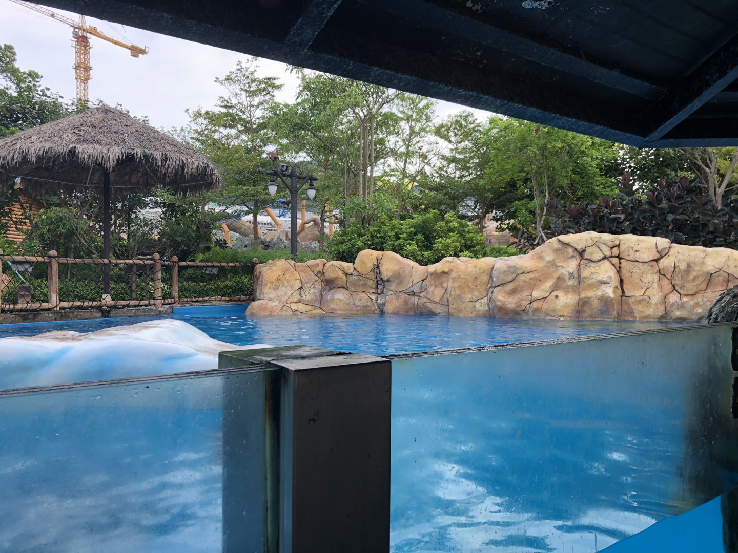 Spotted Seal Exhibit