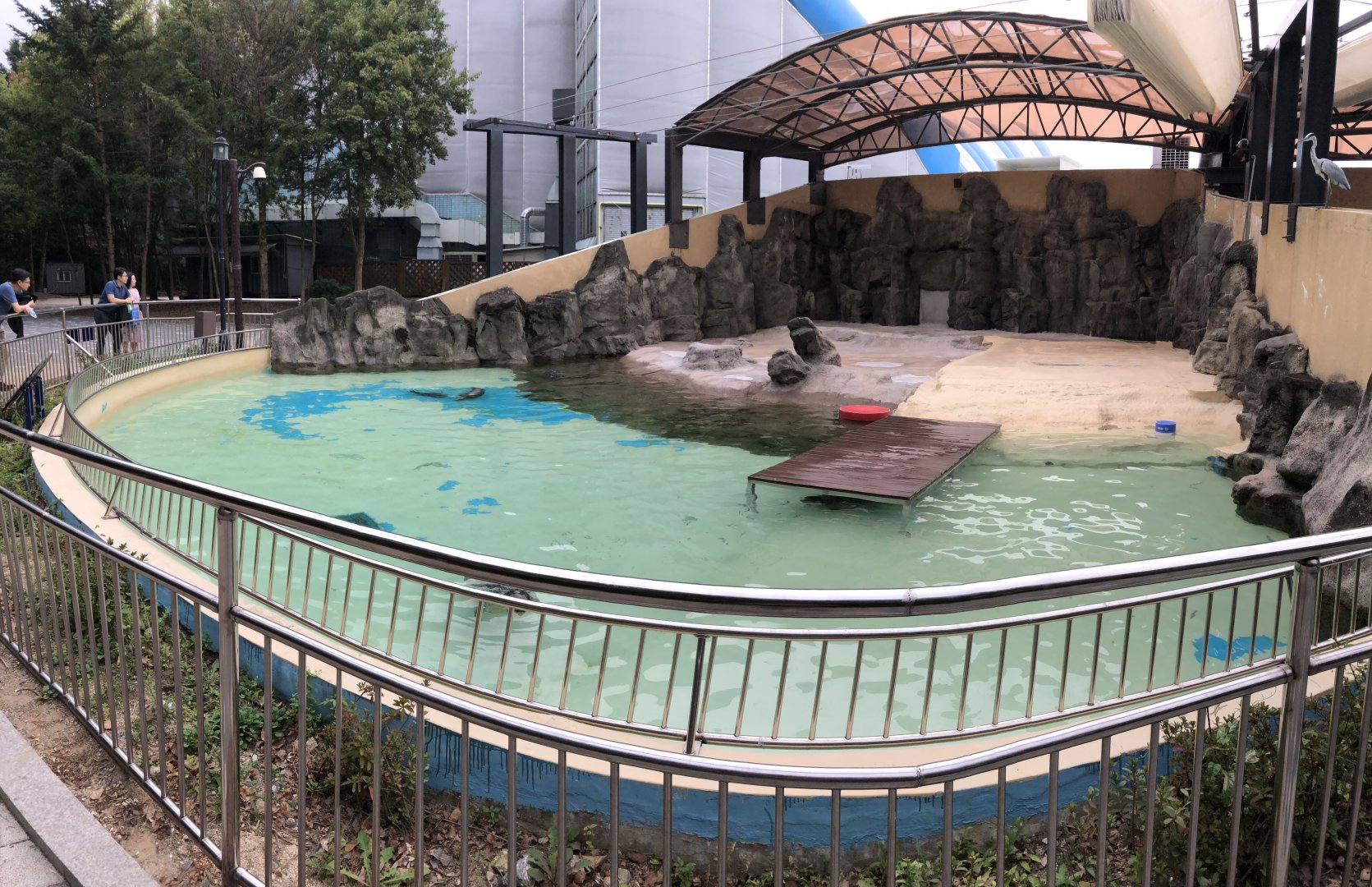 Spotted Seal Exhibit