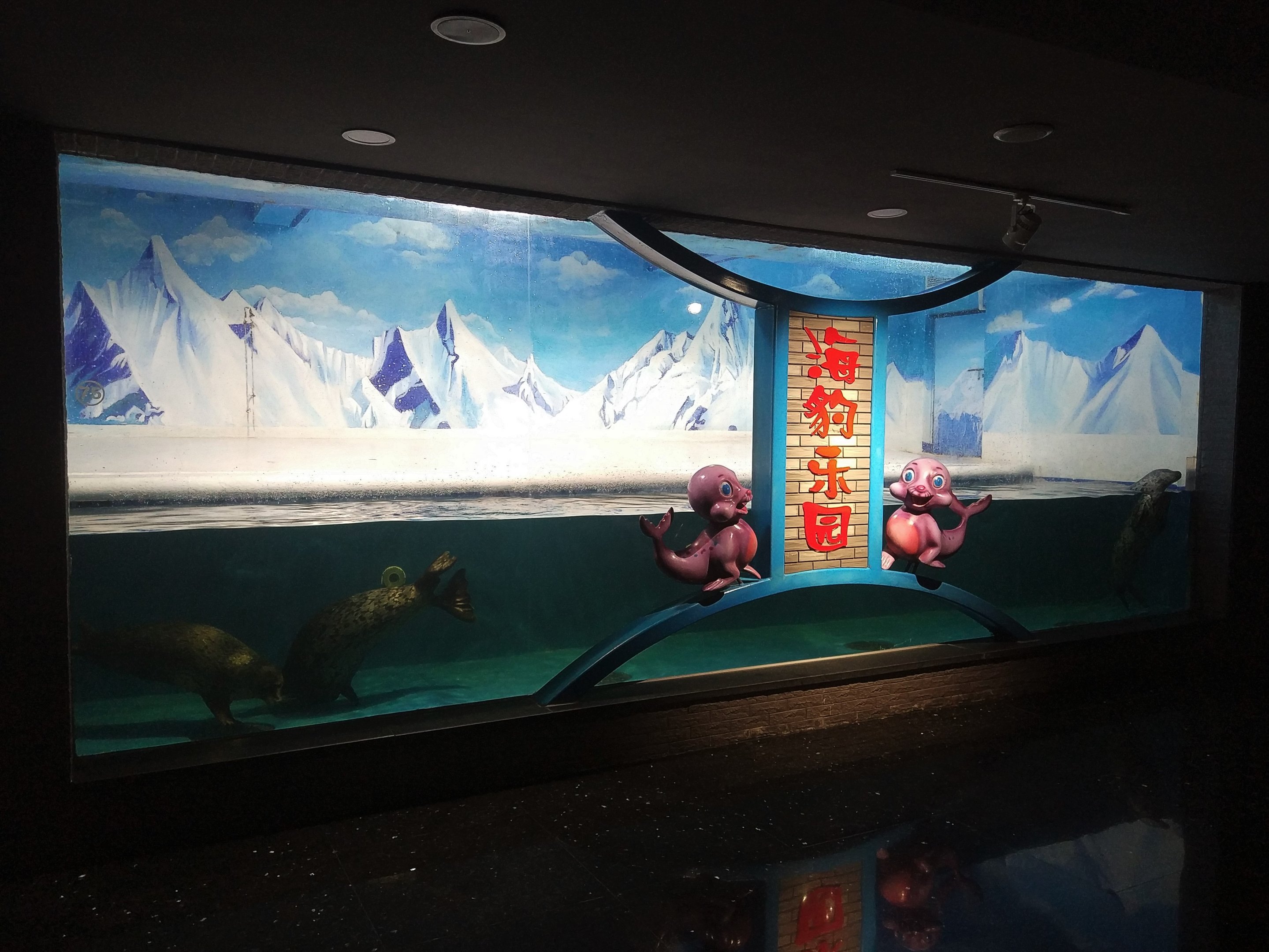 Spotted Seal Exhibit