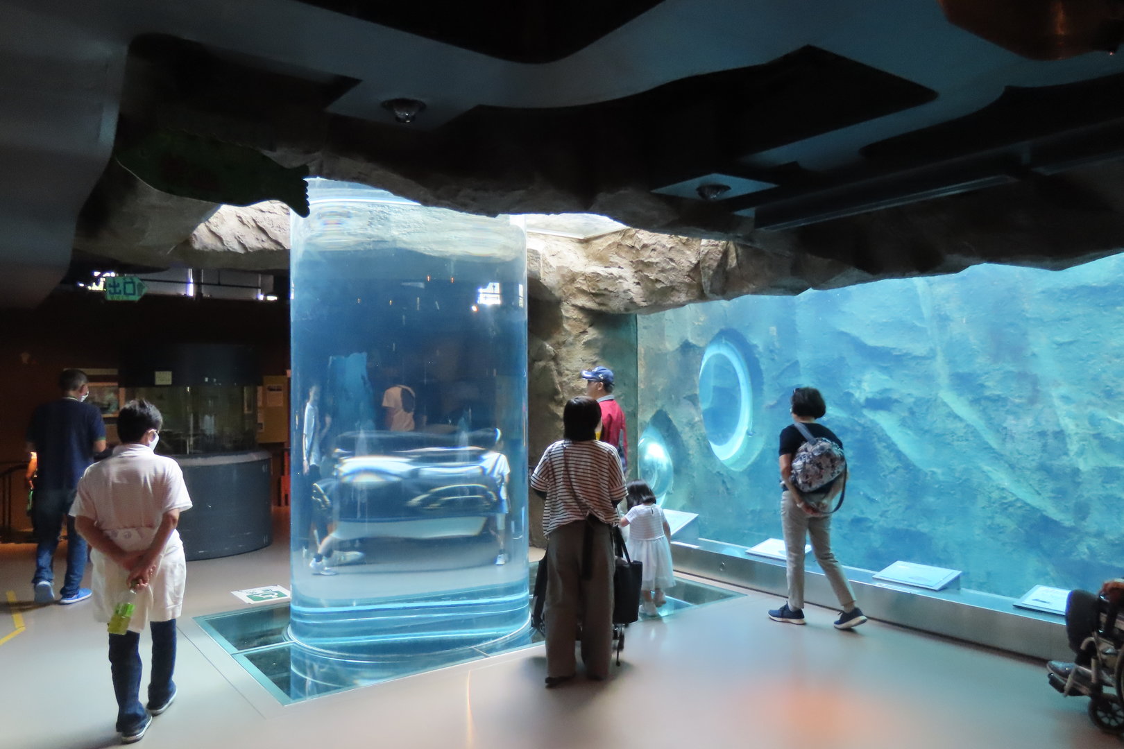 Spotted seal exhibit