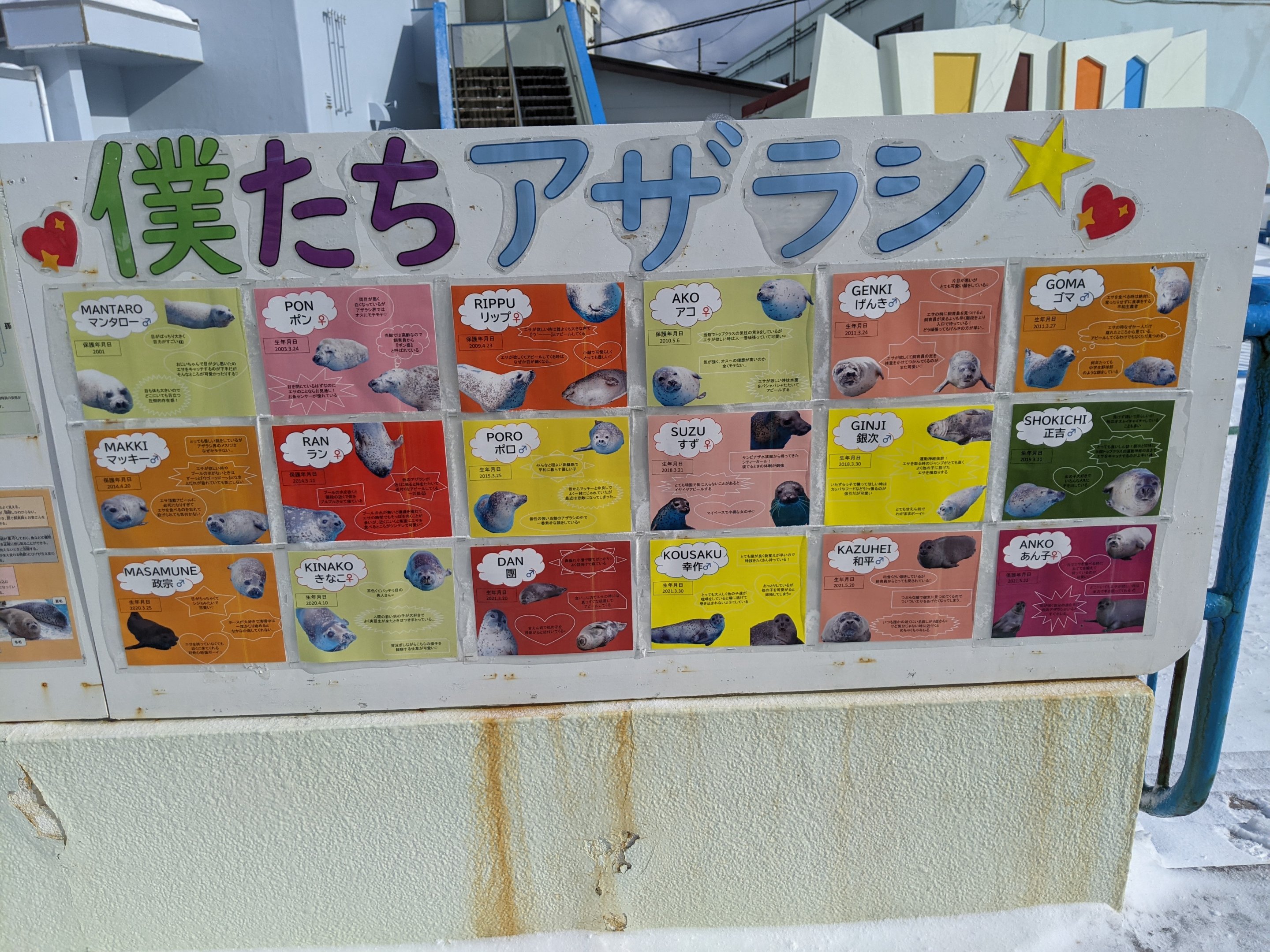 Spotted Seal ID sign, Wakkanai Aquarium