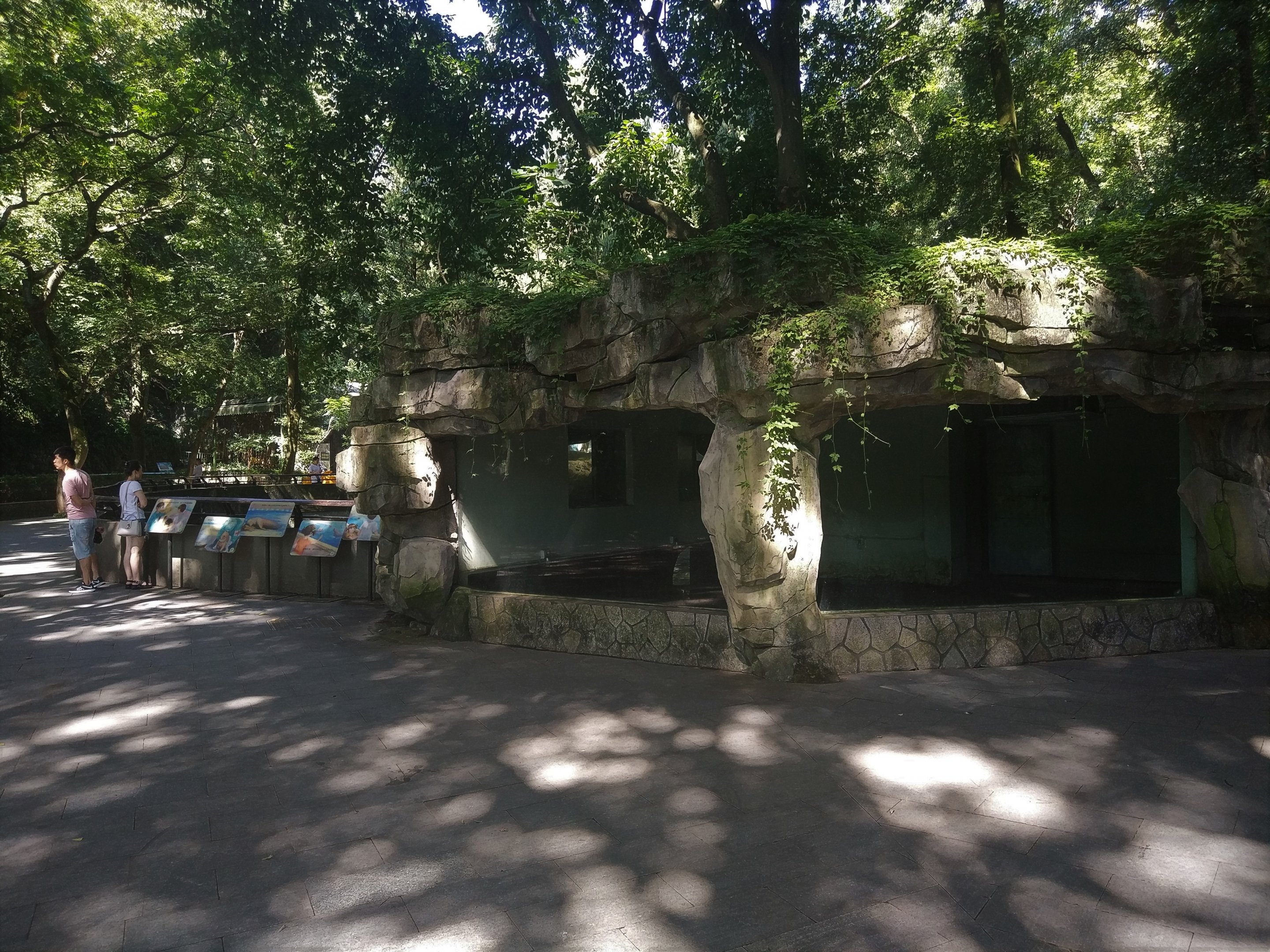 Spotted Seal Indoor Pool