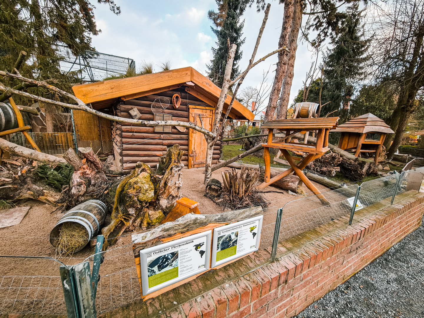 Spotted Skunk,  North American Porcupine and  Marmot