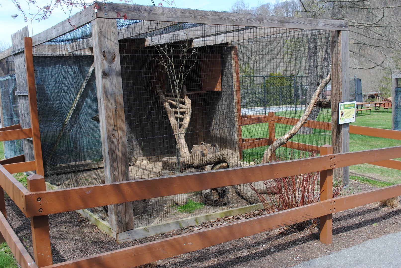 Spotted Skunks Exhibit (labeled "Porcupine")
