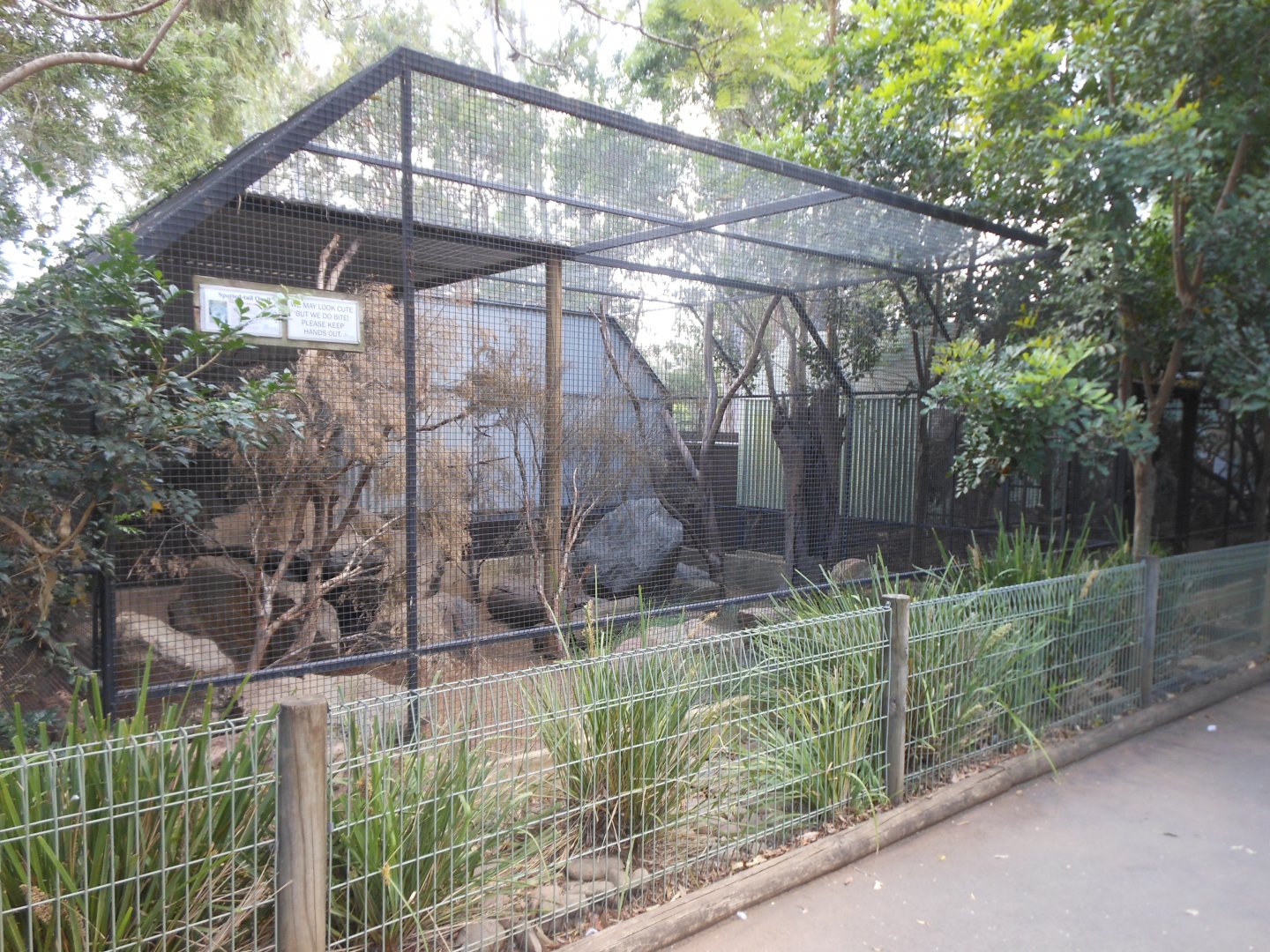 Spotted-tail Quoll exhibit