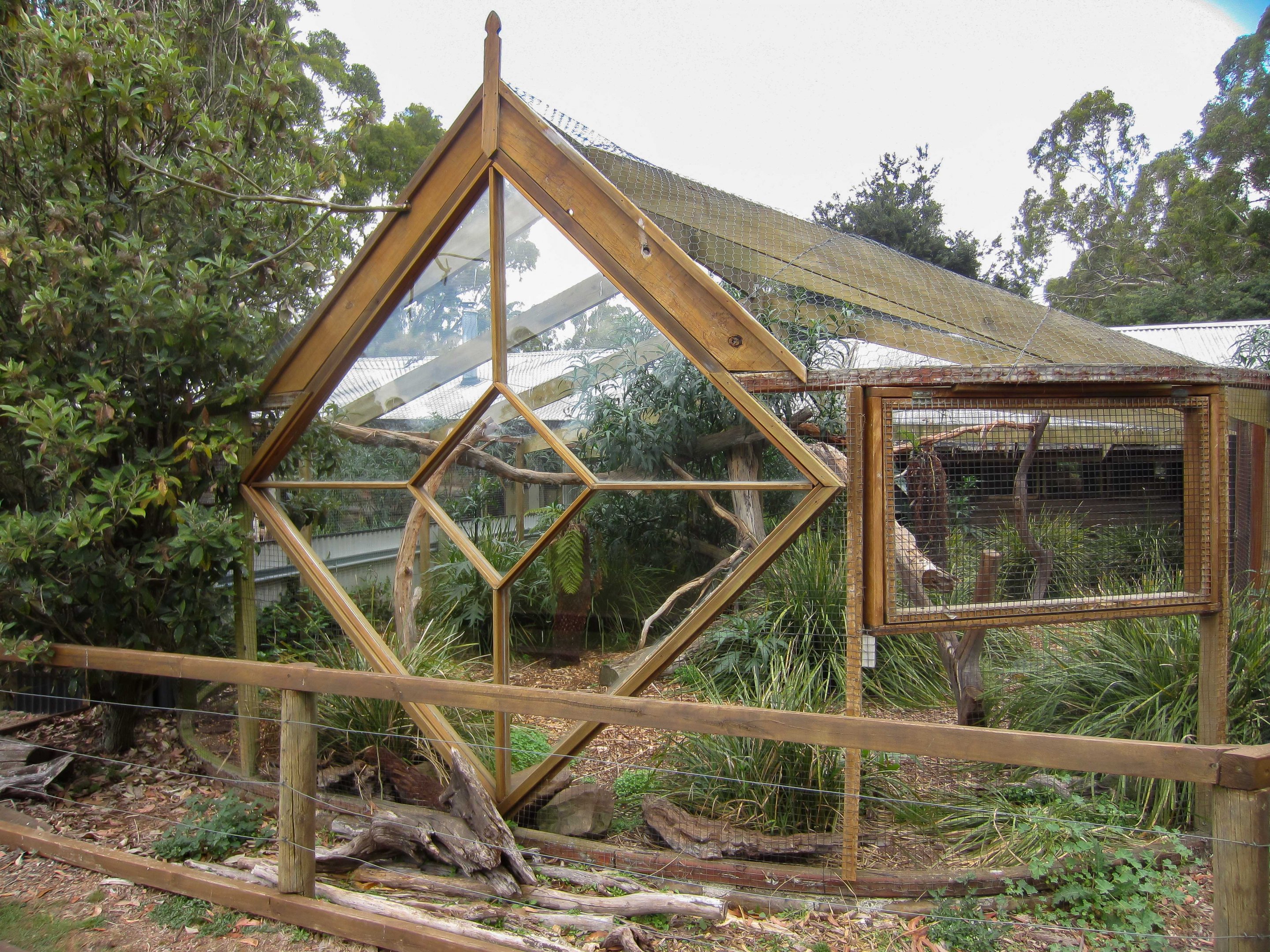 Spotted-tail Quoll exhibit