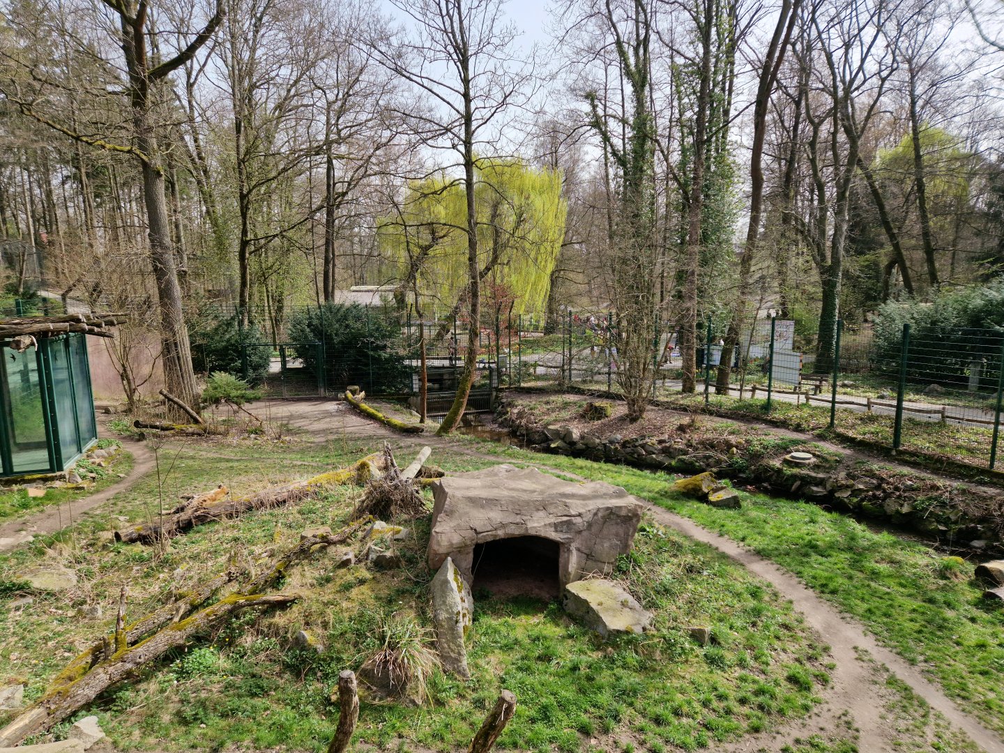 Sppoted Hyena Exhibit