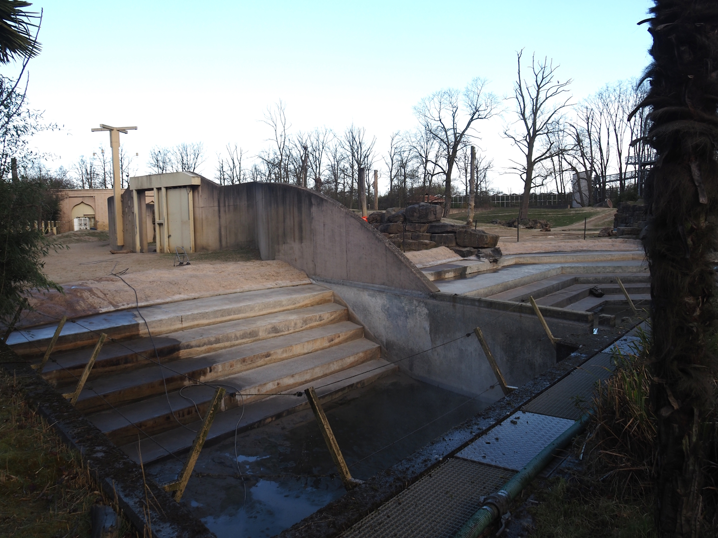 Spring cleaning of the pool in the Asian elephant bull and herd exhibits, 2025-03-23
