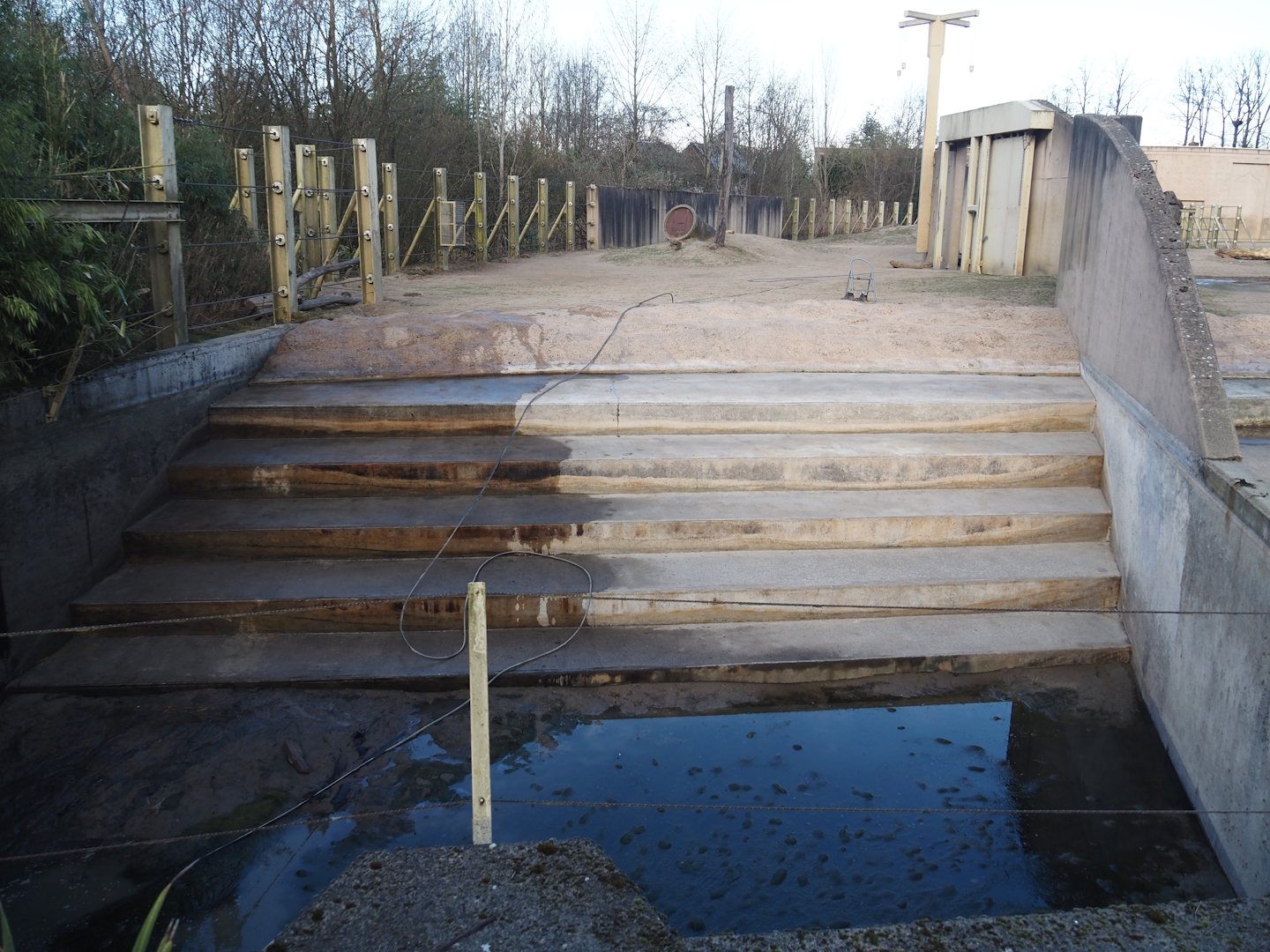 Spring cleaning of the pool in the Asian elephant bull exhibit, 2025-03-23