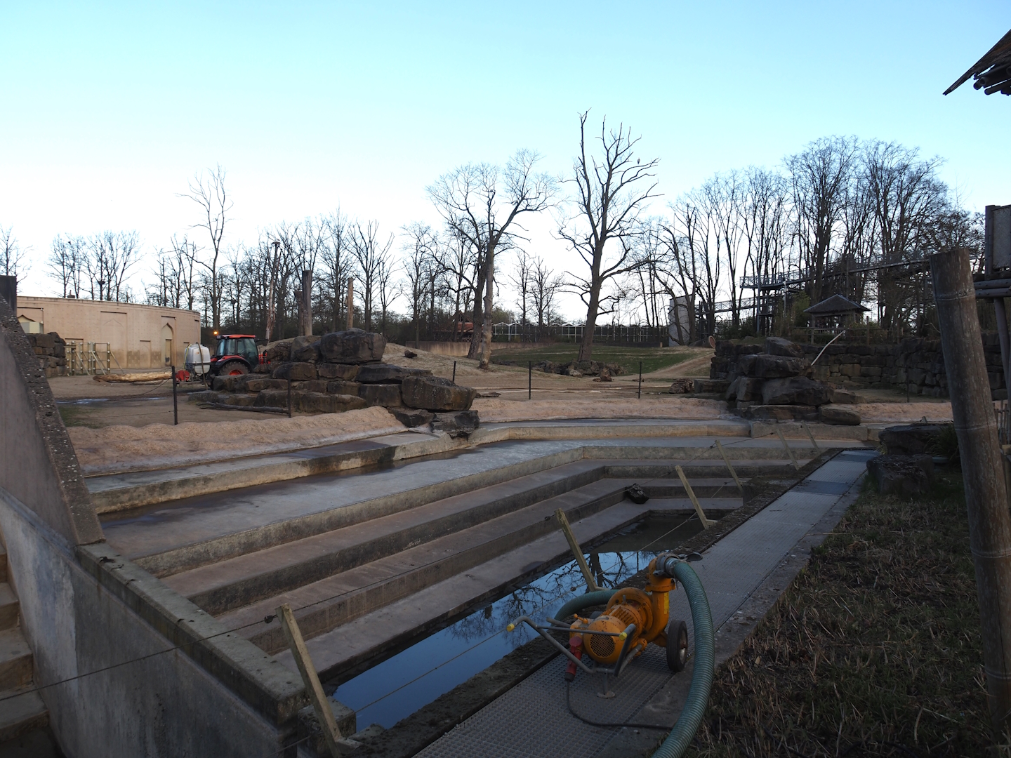 Spring cleaning of the pool in the Asian elephant herd exhibit, 2025-03-23