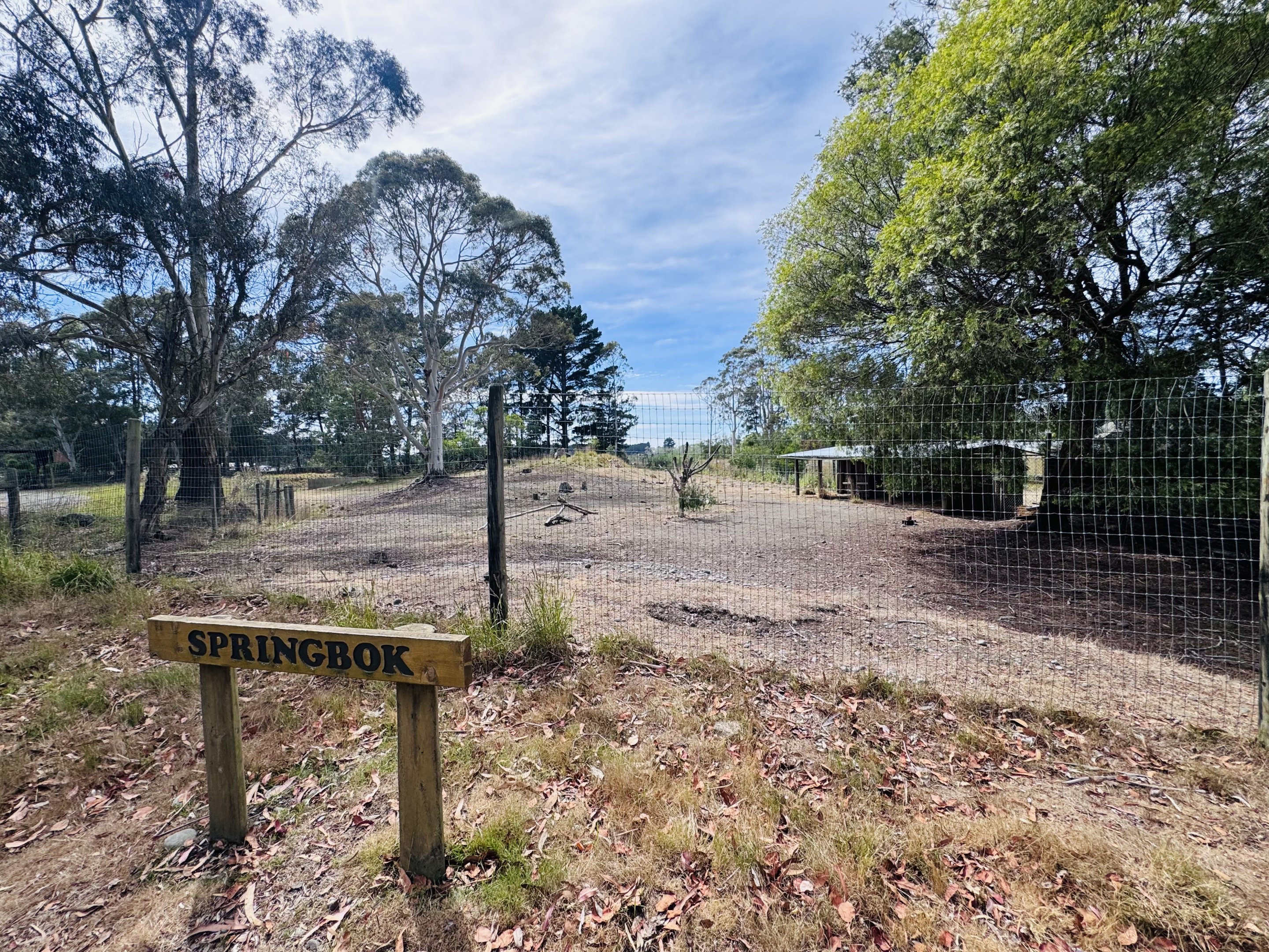 Springbok enclosure