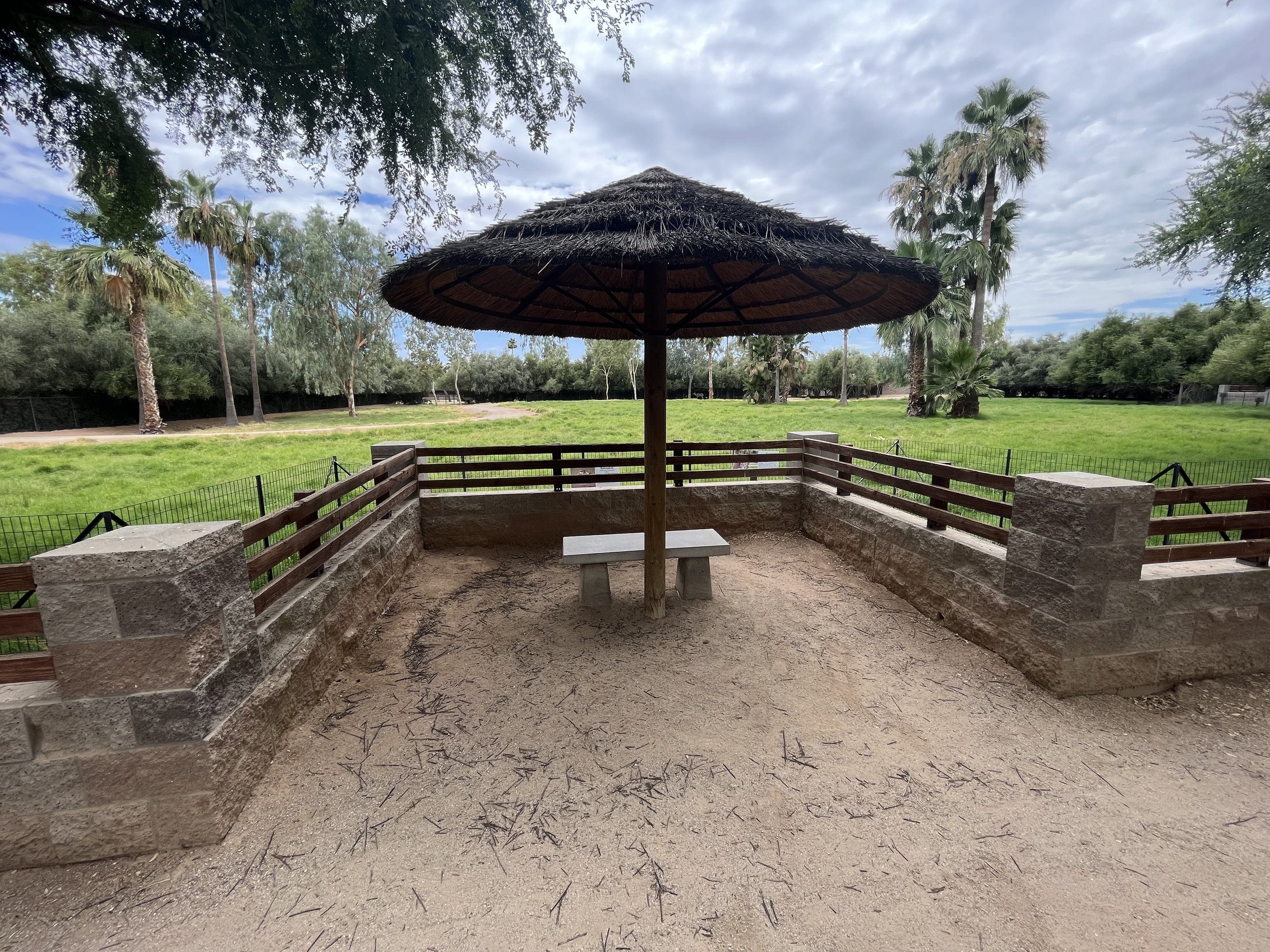 Springbok/Greater Kudu Exhibit