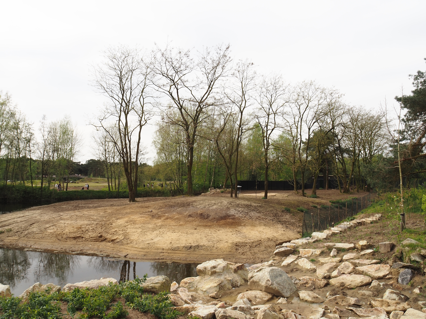 Springbok paddock, 2024-04-06