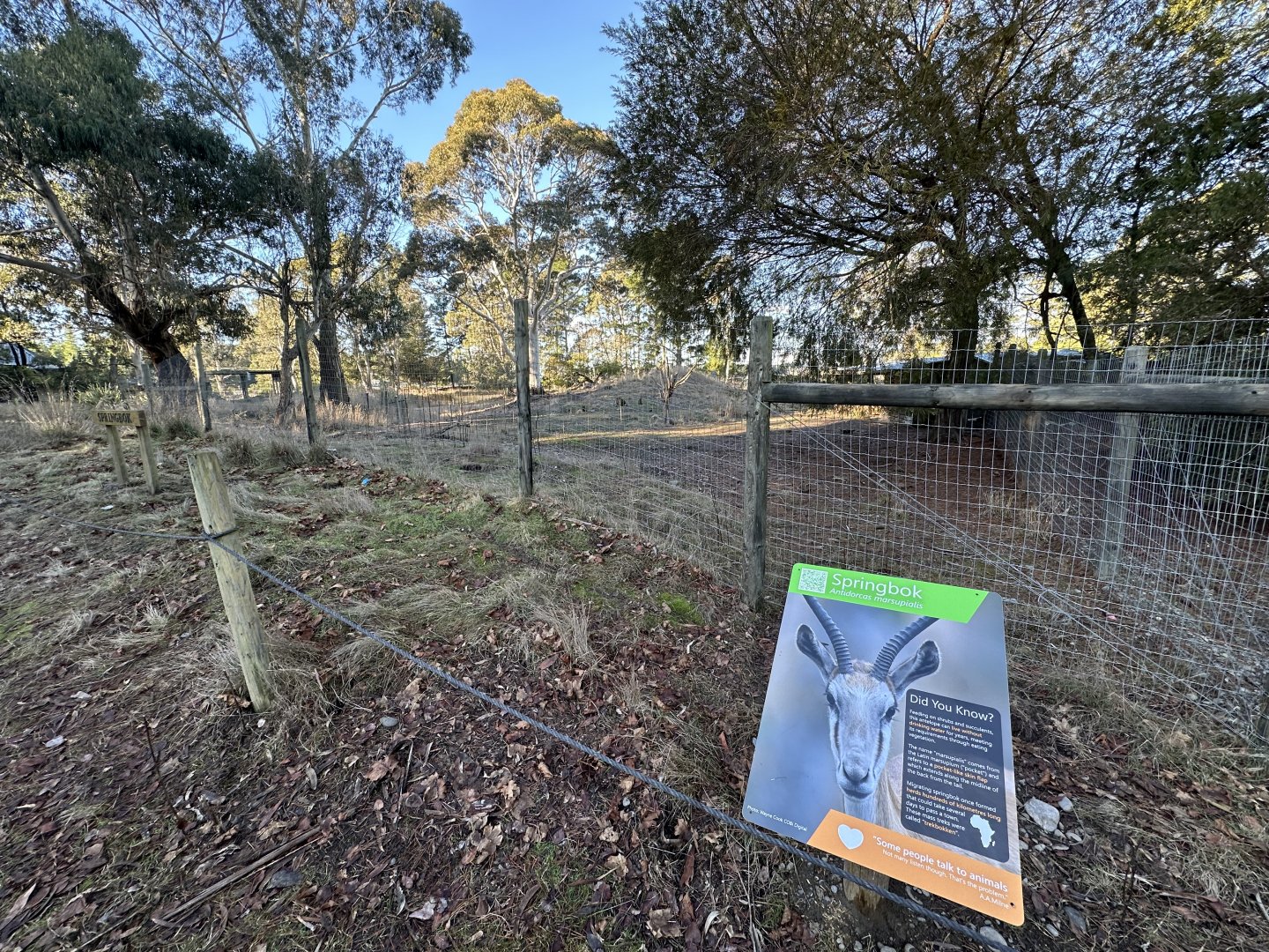 Springbok Signage