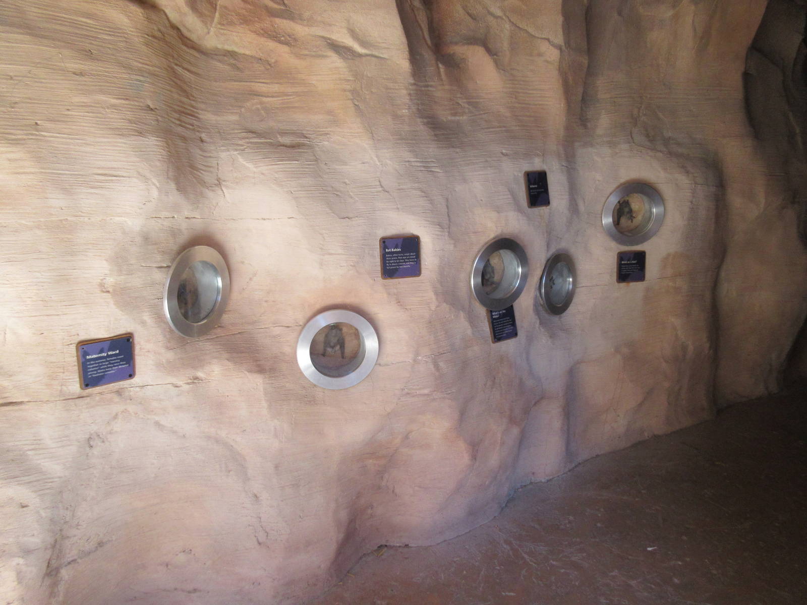 Springs Preserve (Nevada) - Bat Cave (the bats are fake)