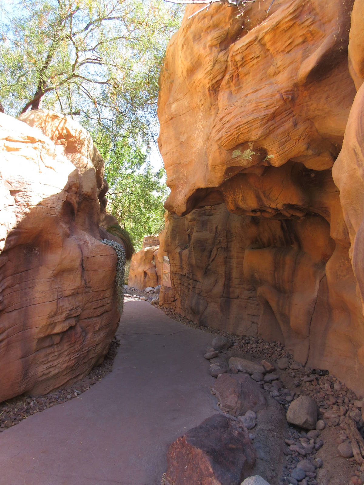 Springs Preserve (Nevada) - Boulder Pathway