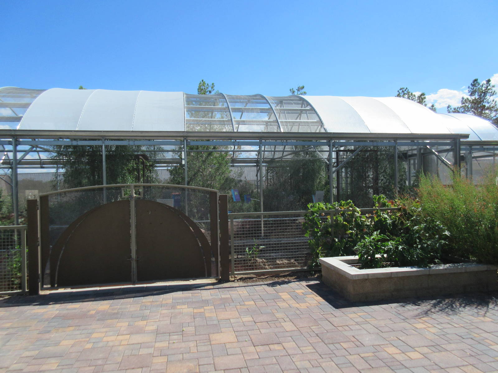 Springs Preserve (Nevada) - Butterfly Habitat
