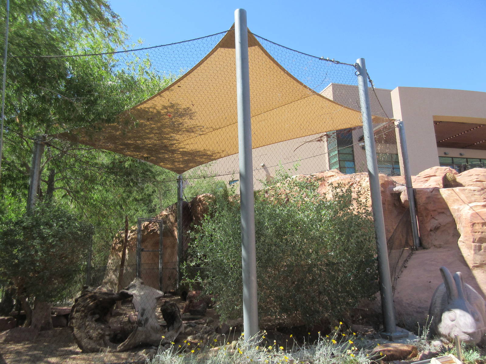 Springs Preserve (Nevada) - Desert Cottontail Exhibit