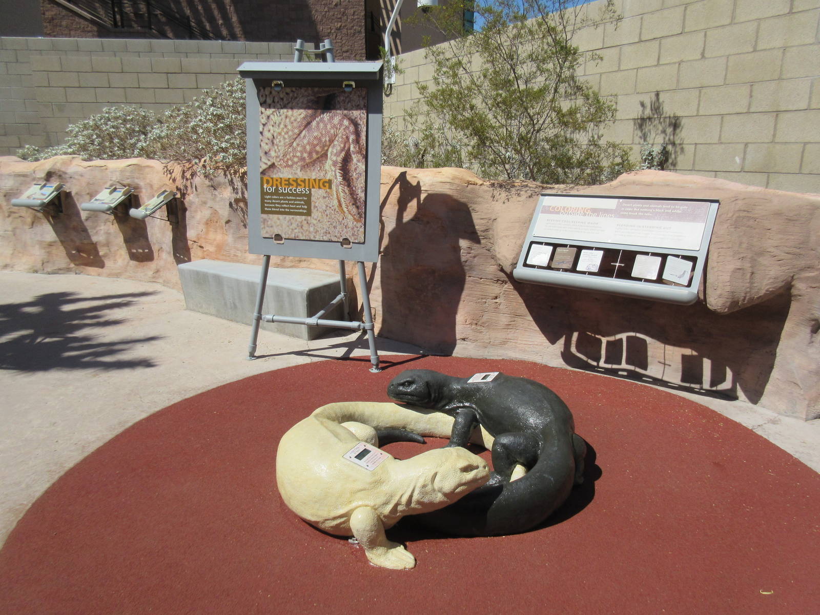 Springs Preserve (Nevada) - Lizard Temperature Exhibit (very impressive!)
