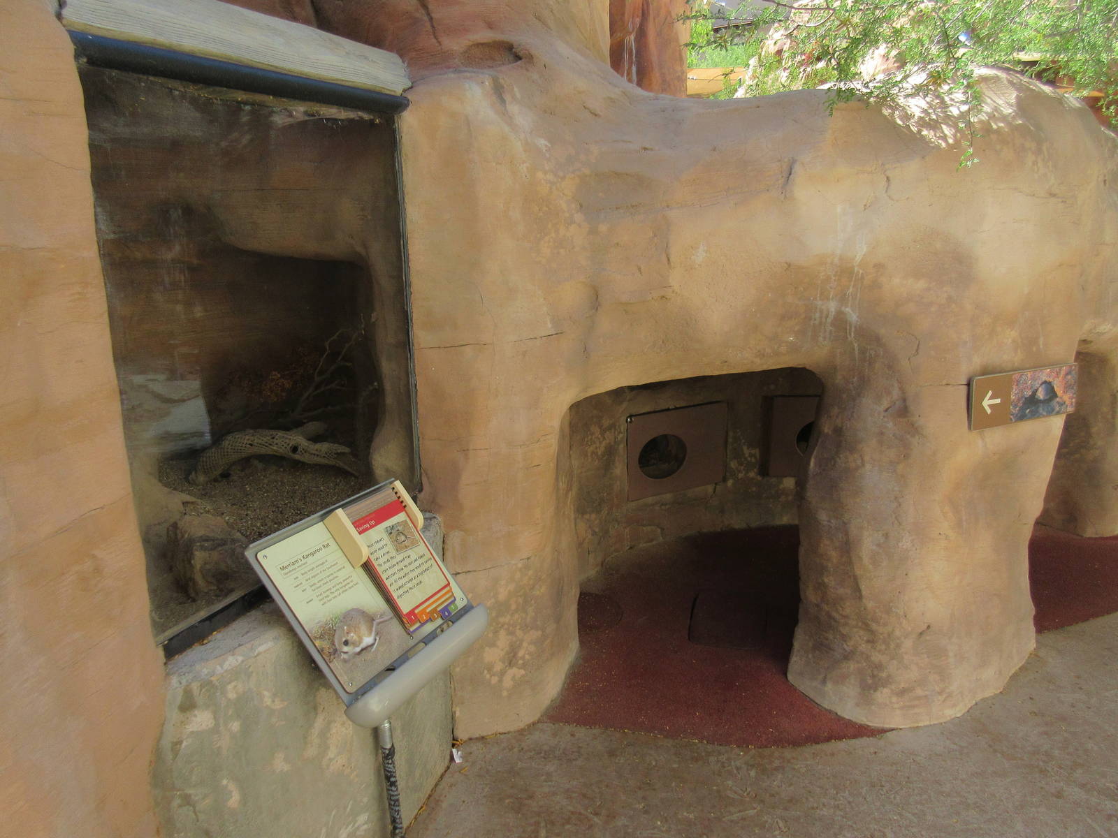 Springs Preserve (Nevada) - Merriam's Kangaroo Rat Exhibit