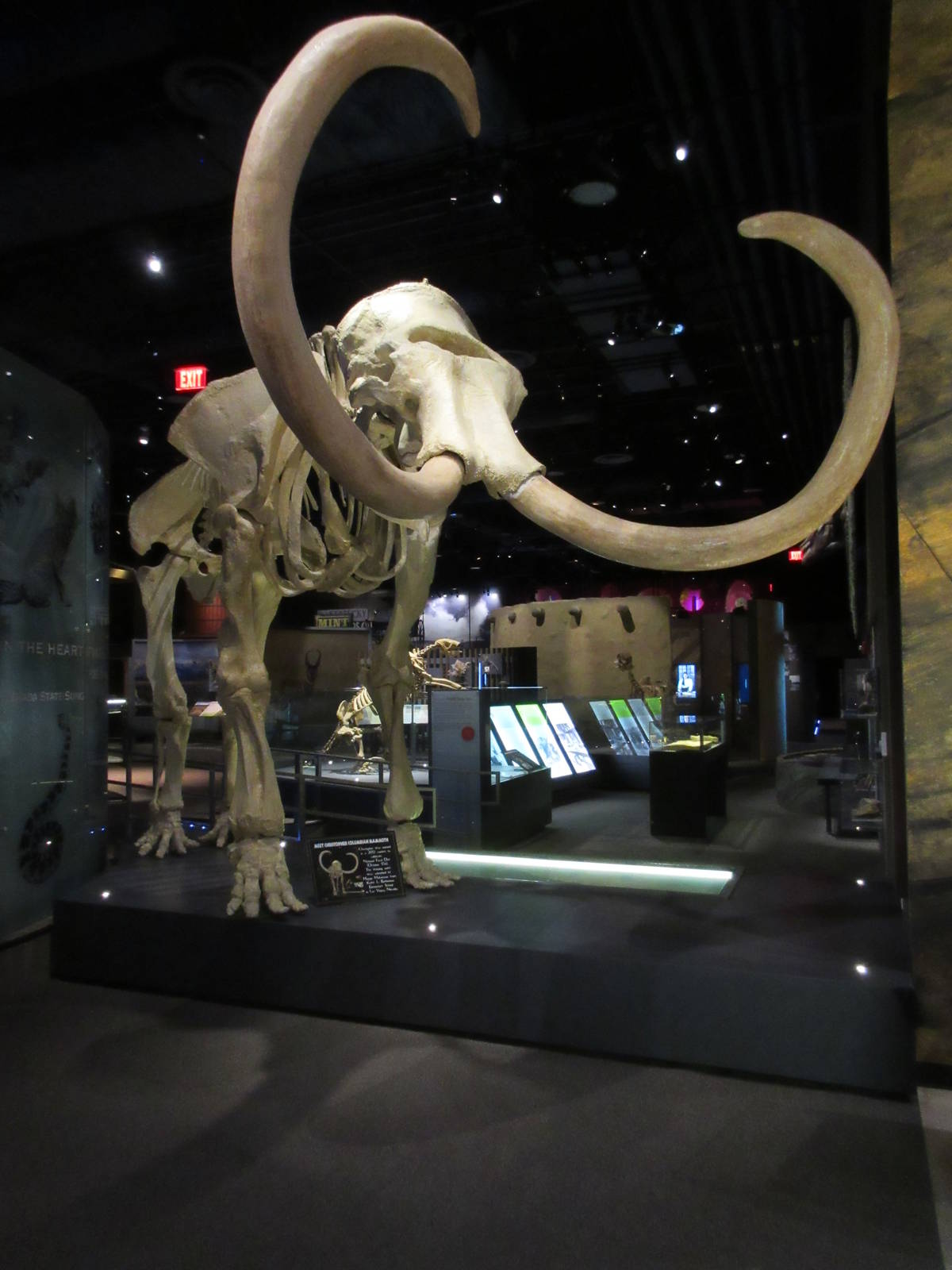 Springs Preserve (Nevada) - State Museum (Mammoth)