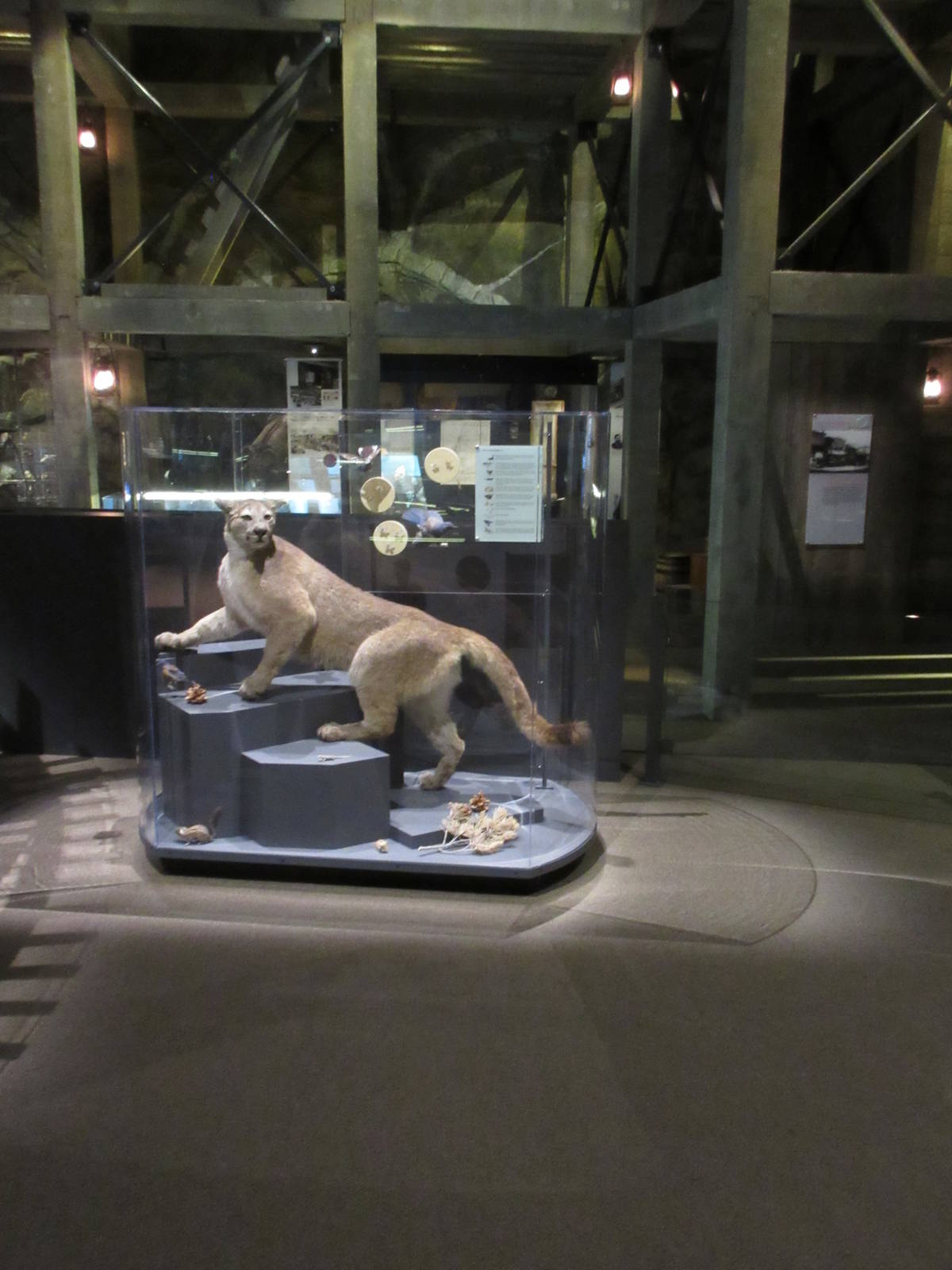 Springs Preserve (Nevada) - State Museum