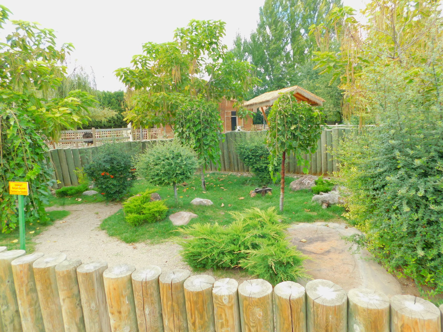 Spur-Thigh Tortoise Enclosure