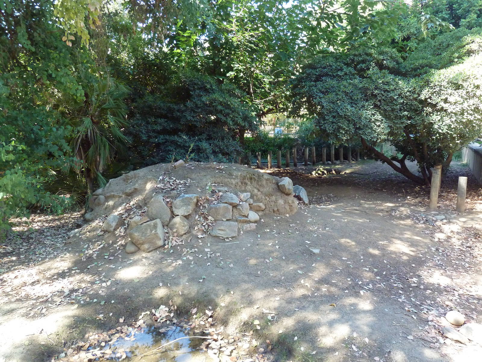 Spur-Thighed Tortoise Exhibit