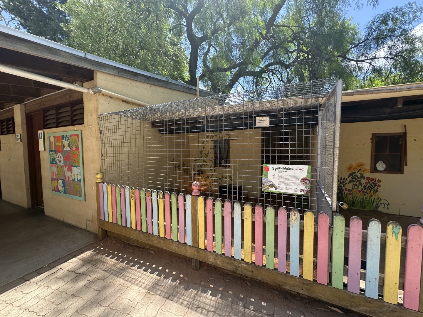 Spur thighed tortoise exhibit