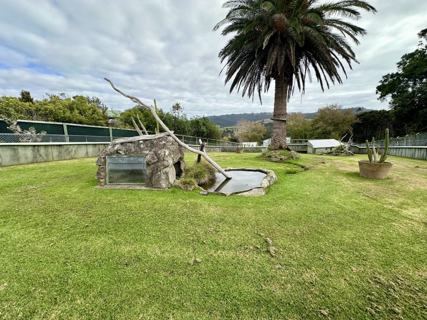 Spur-thighed Tortoise Exhibit