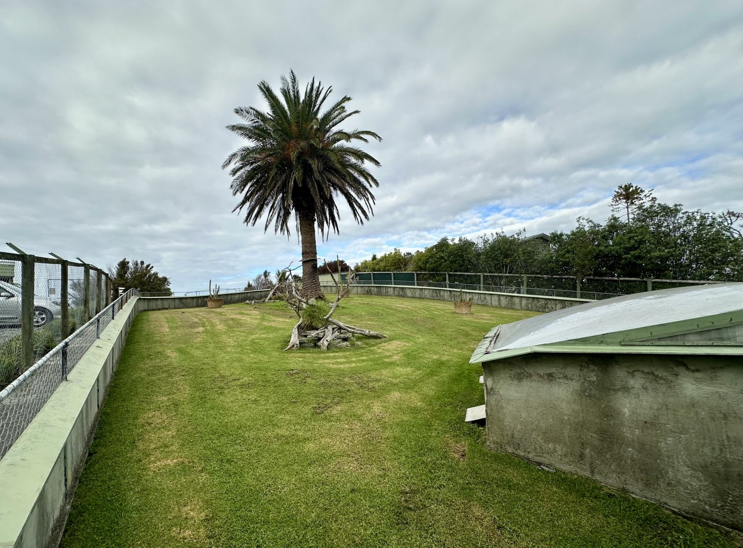 Spur-thighed Tortoise Exhibit