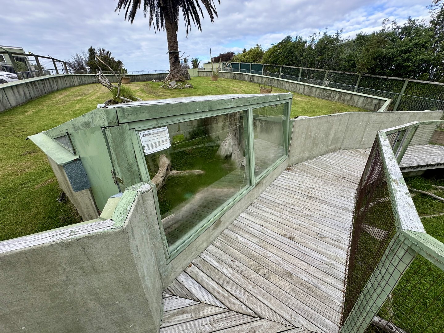 Spur-thighed Tortoise House