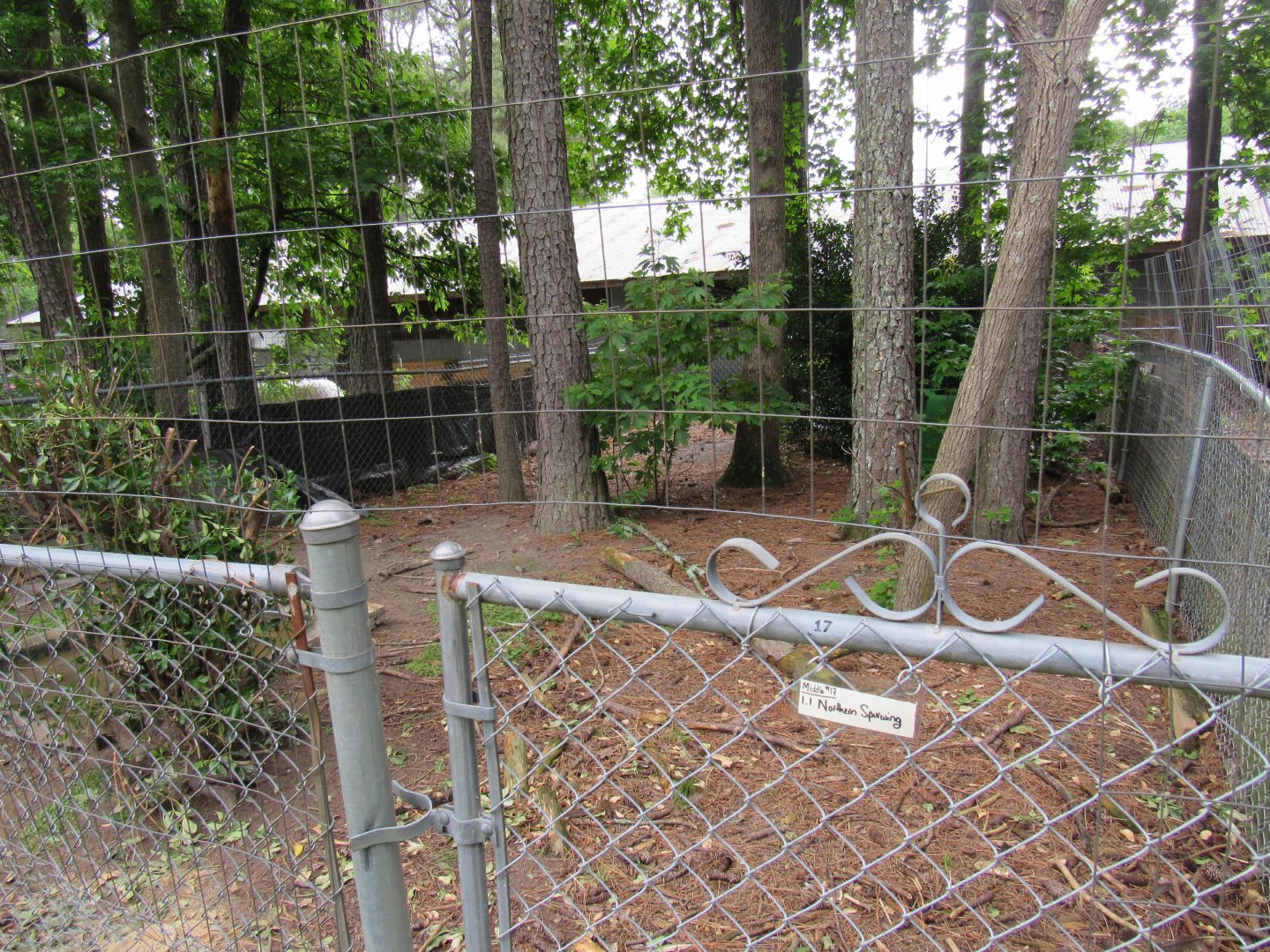 Spur-winged goose pen (Avian Breeding Center)