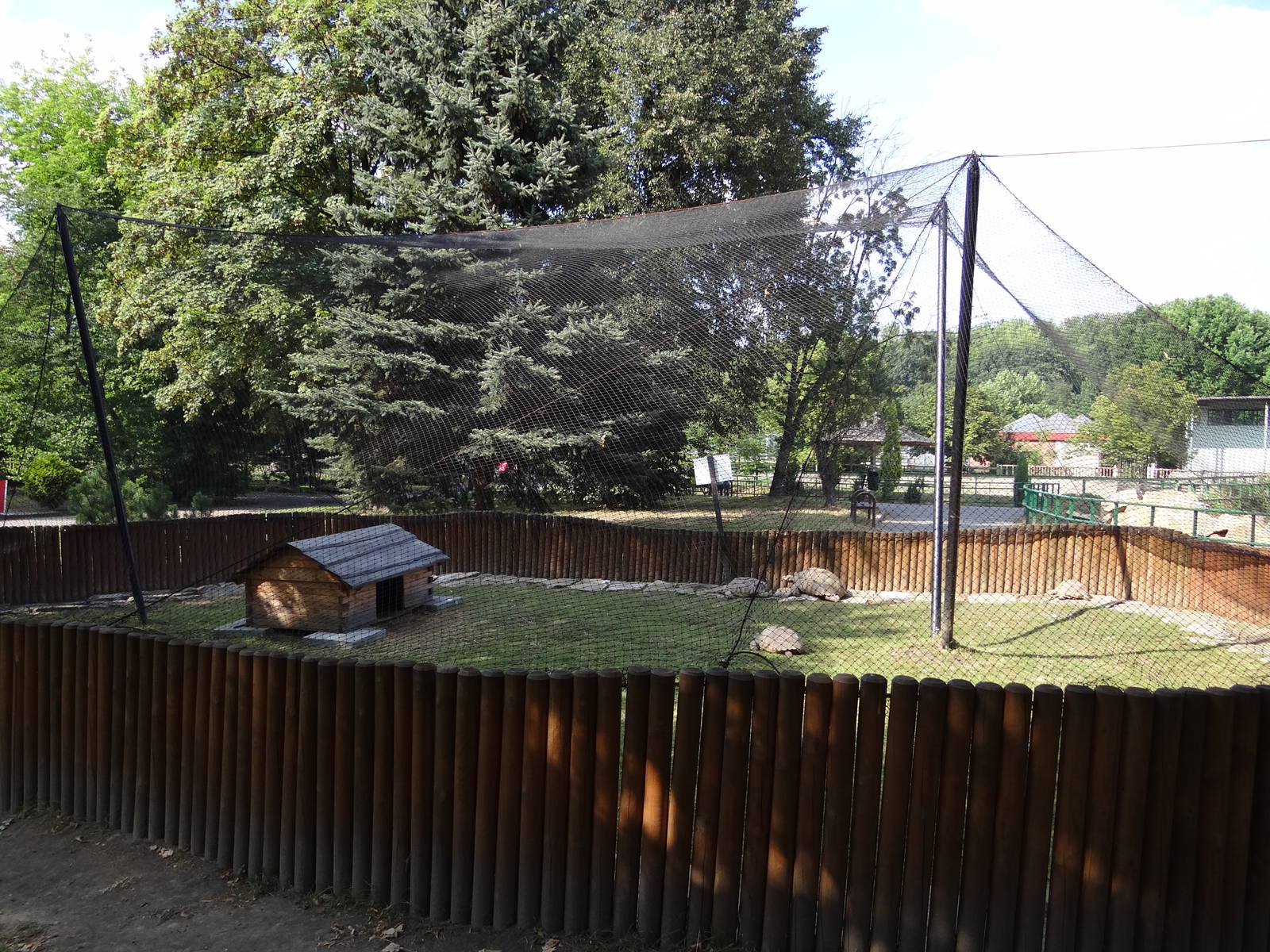 Spurred Tortoise enclosure