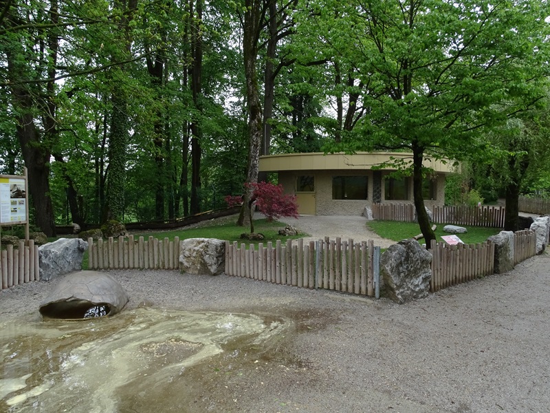 Spurred tortoise enclosure