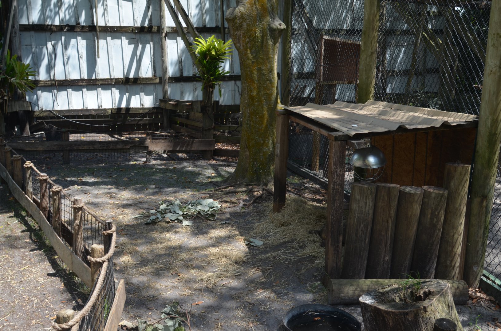 Spurred Tortoise Habitat