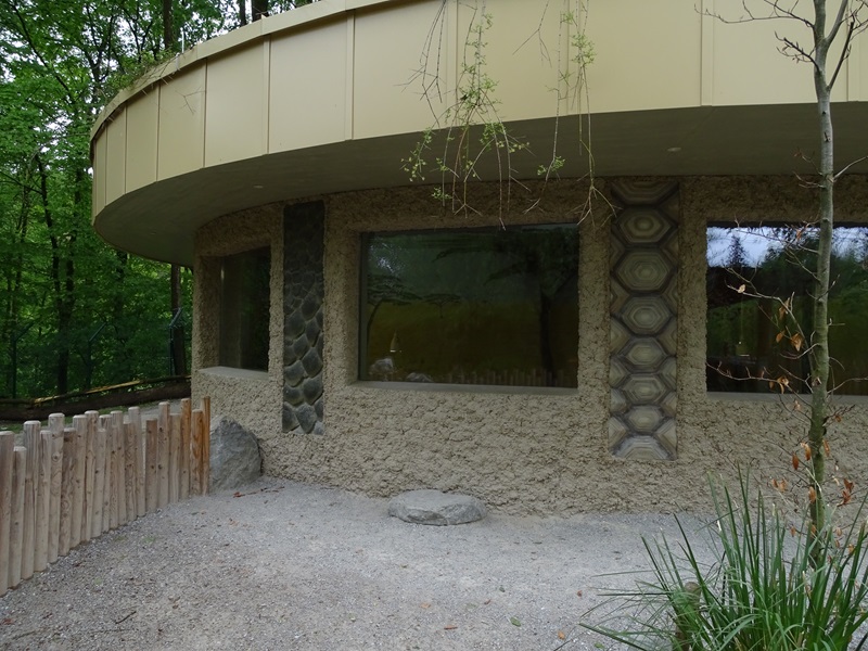 Spurred tortoise indoor enclosure