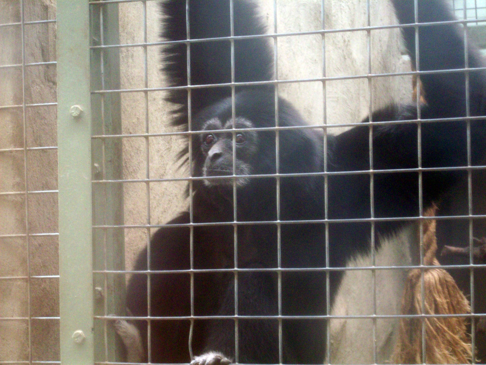 Spying on the neighbors