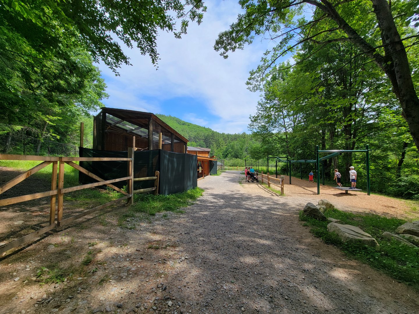 Squam Lakes NSC, 7/22 - American kestrel, bald eagle, turkey vultures; interactive stuff for kids