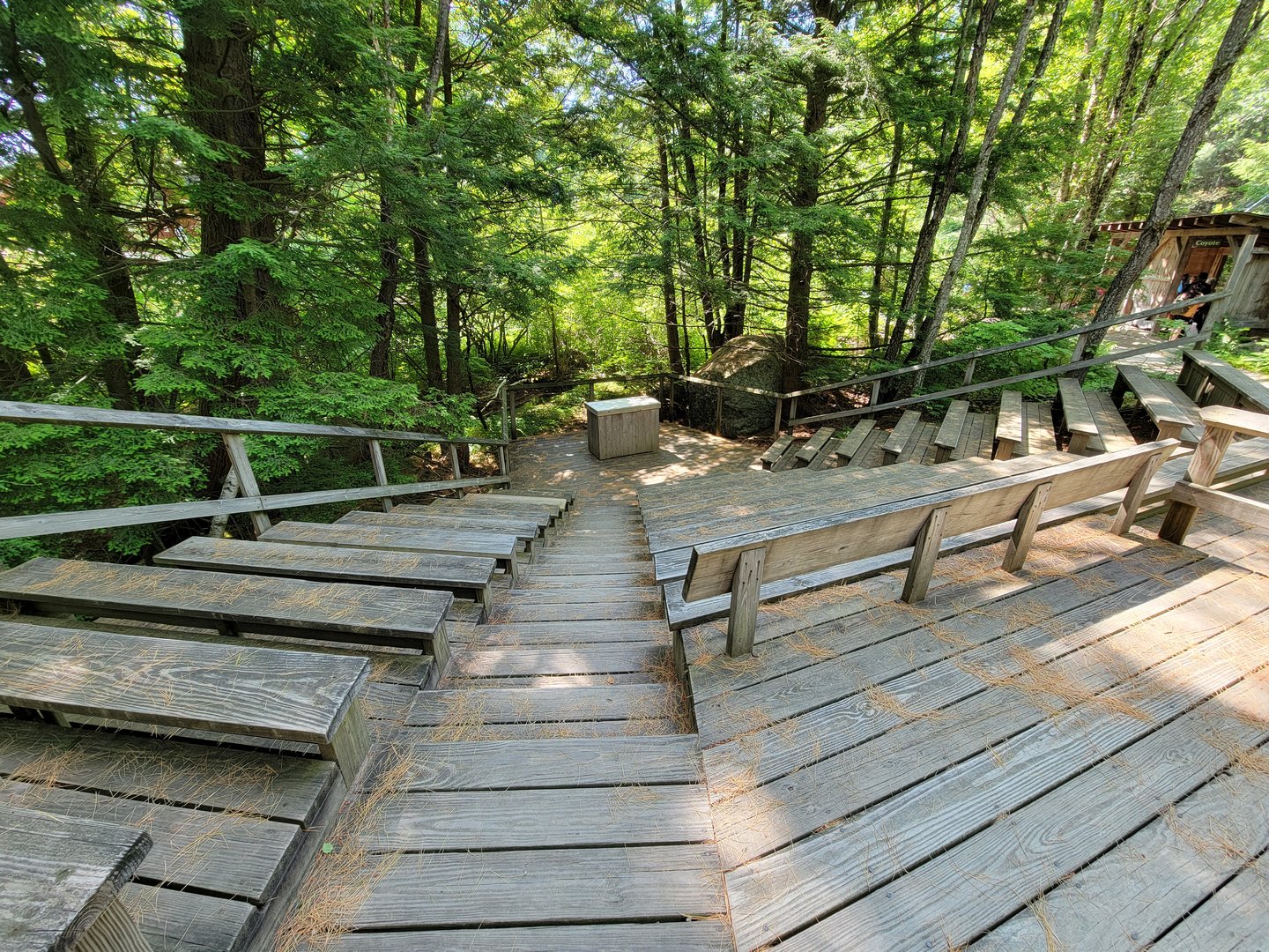 Squam Lakes NSC, 7/22 - Ampitheatre