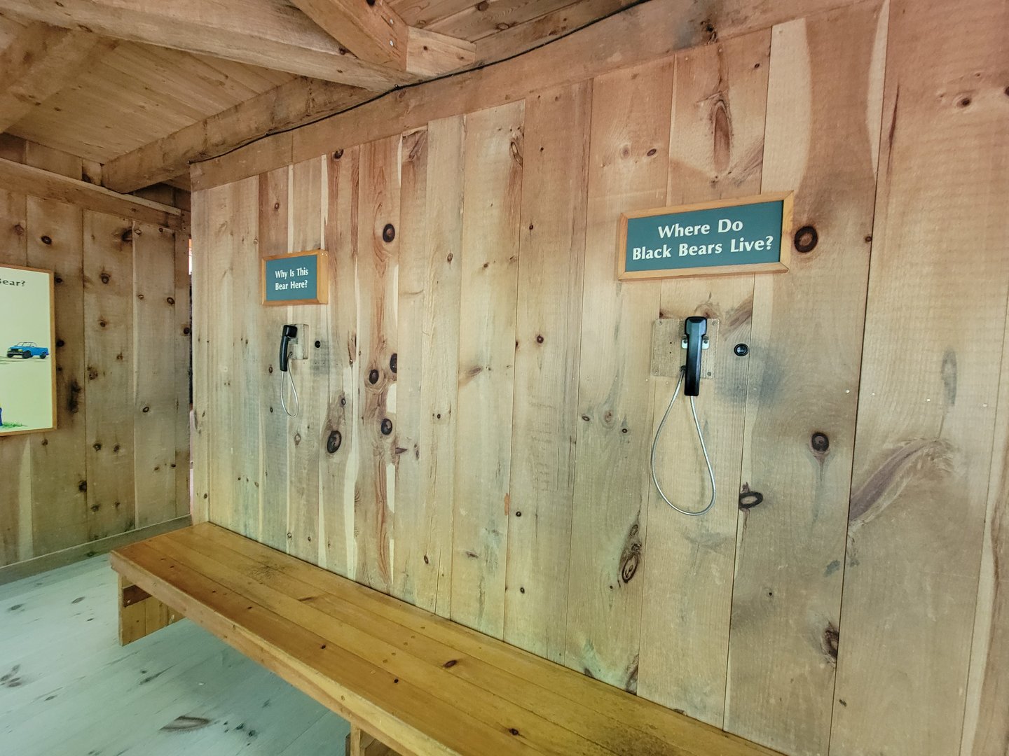 Squam Lakes NSC, 7/22 - Black bear building, lift phones for answers
