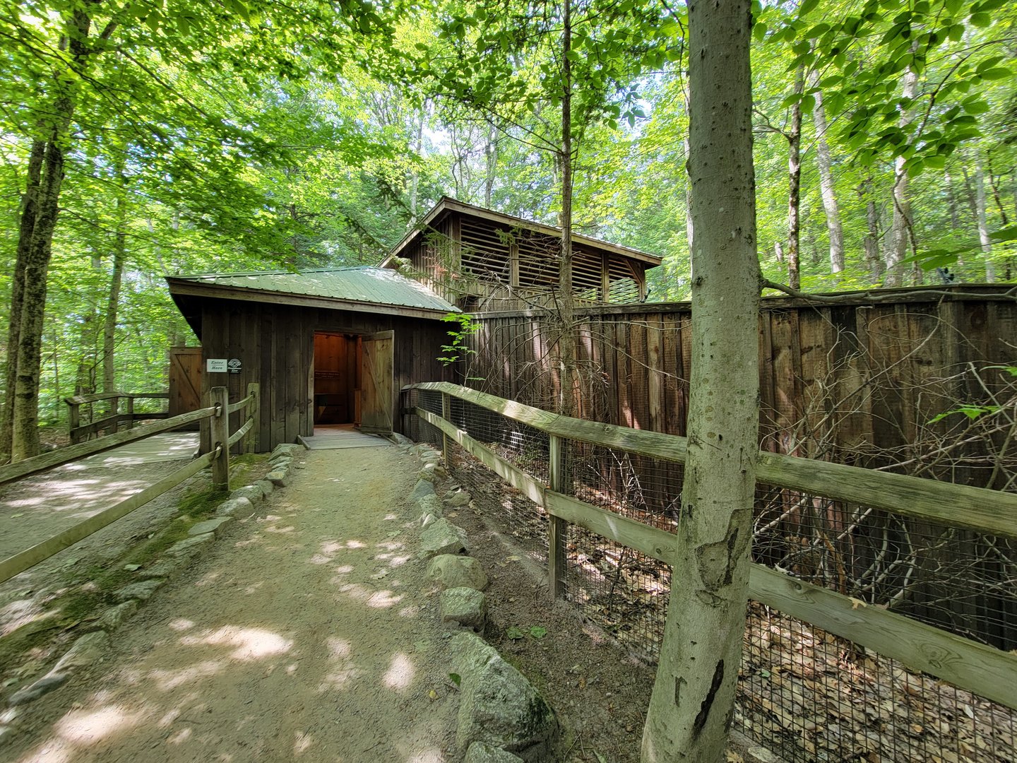 Squam Lakes NSC, 7/22 - Black bear building
