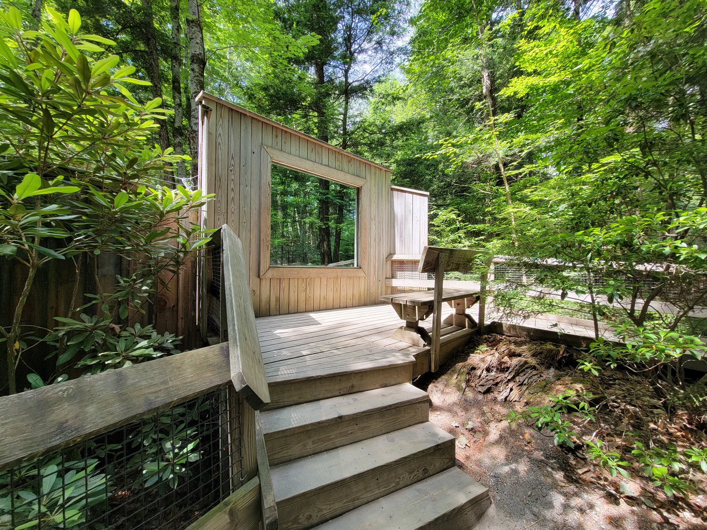 Squam Lakes NSC, 7/22 - Black bear viewing platform