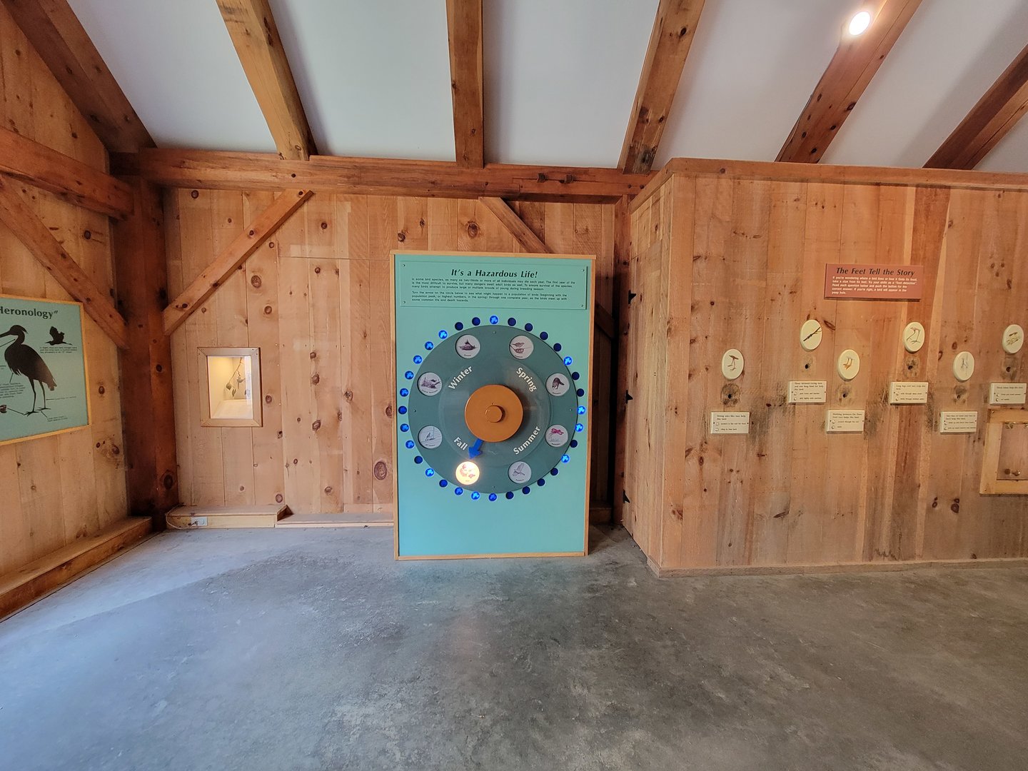 Squam Lakes NSC, 7/22 - Celebrate Birds! It's a Hazardous Life