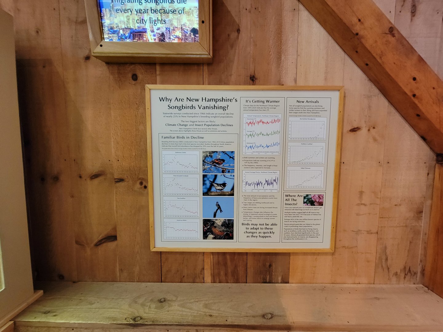 Squam Lakes NSC, 7/22 - Celebrate Birds! Why are songbirds vanishing?