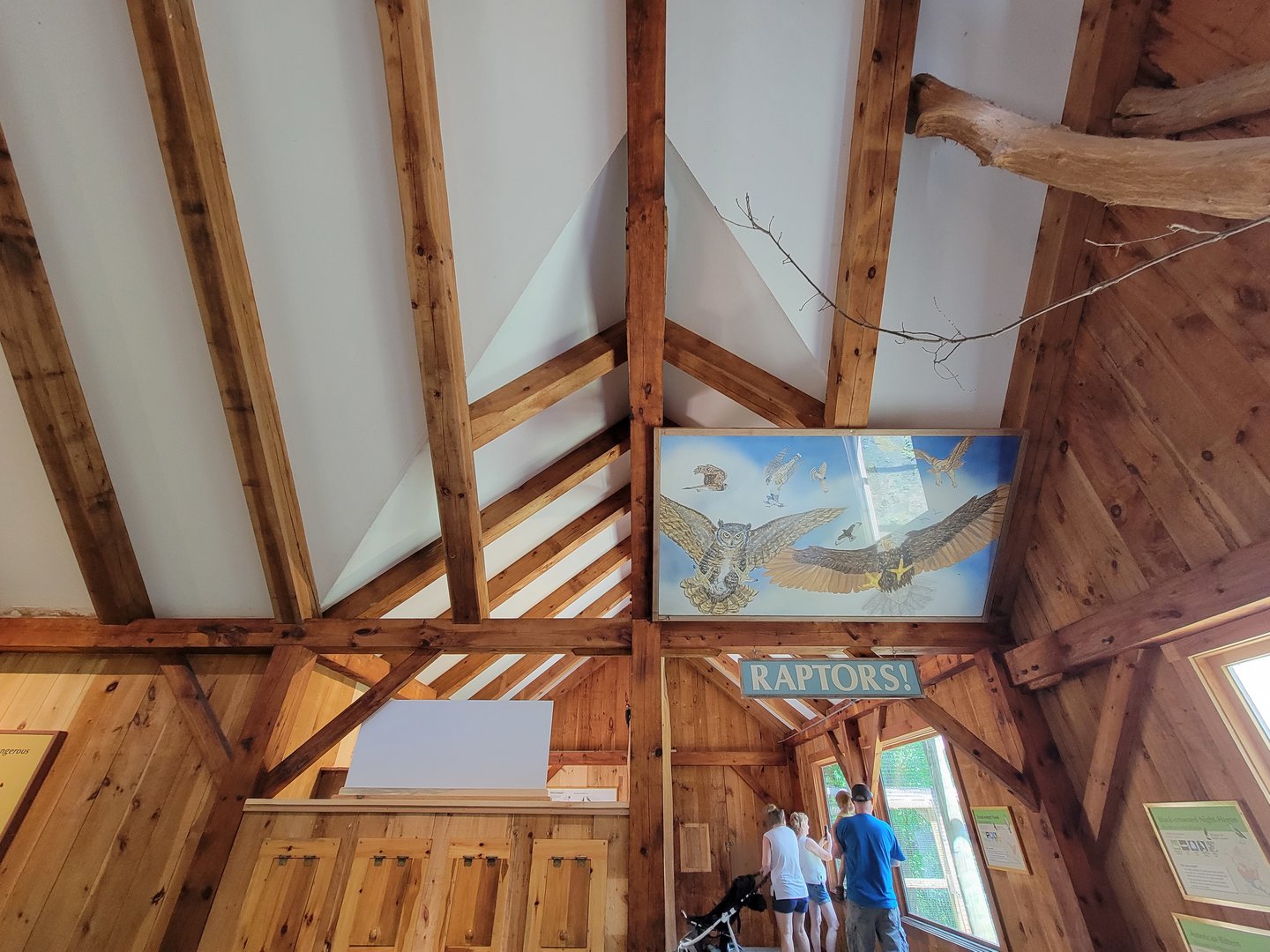 Squam Lakes NSC, 7/22 - Celebrate Birds!