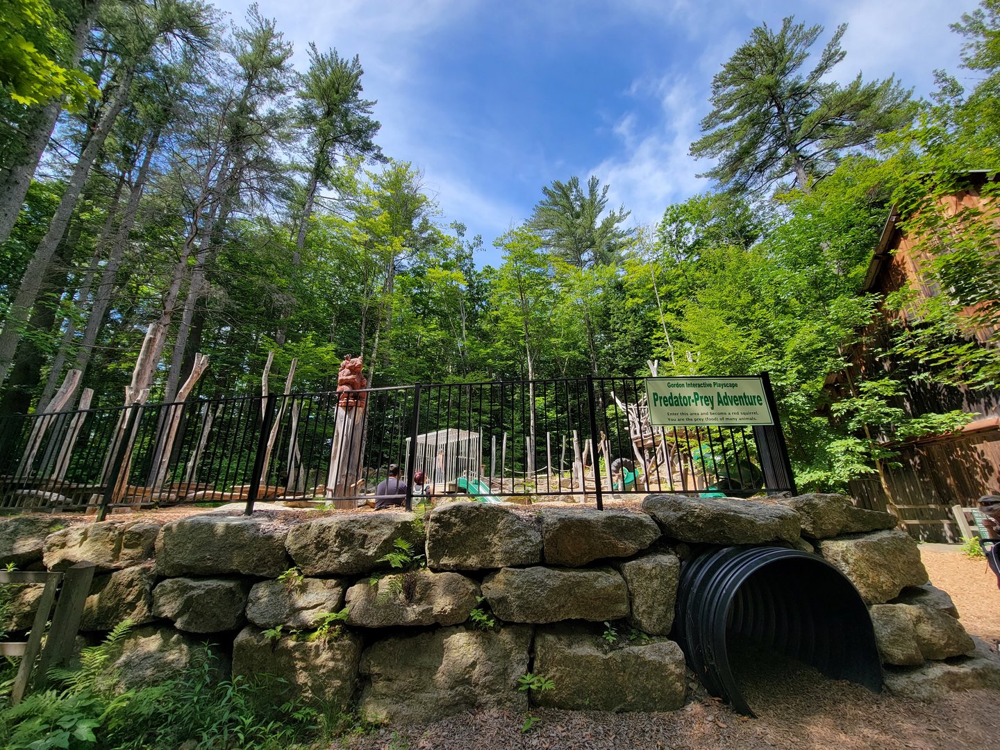 Squam Lakes NSC, 7/22 - Gordon Interactive Playscape: A Predator-Prey Adventure