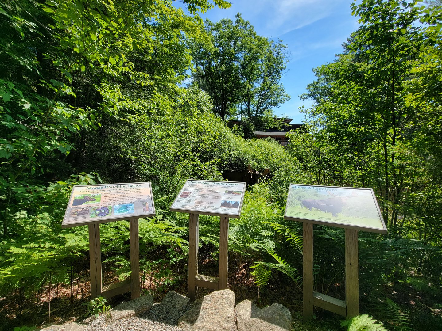 Squam Lakes NSC, 7/22 - Info signs, view of pond from other side (building is Water Matters)