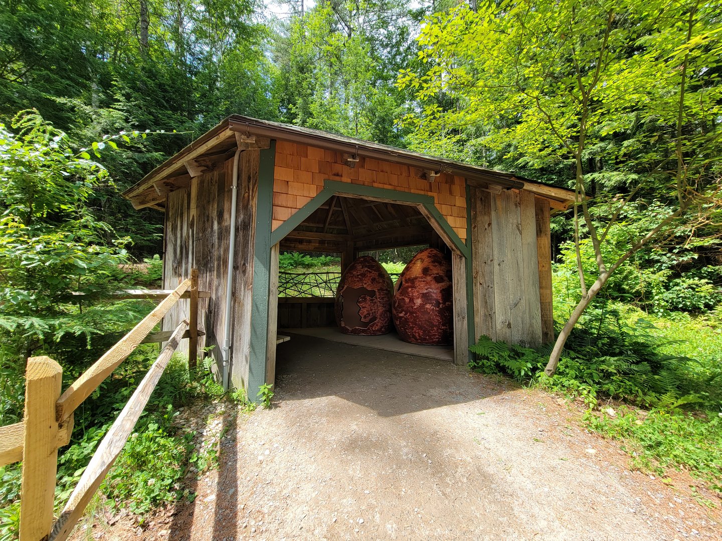 Squam Lakes NSC, 7/22 - Interactive eggs